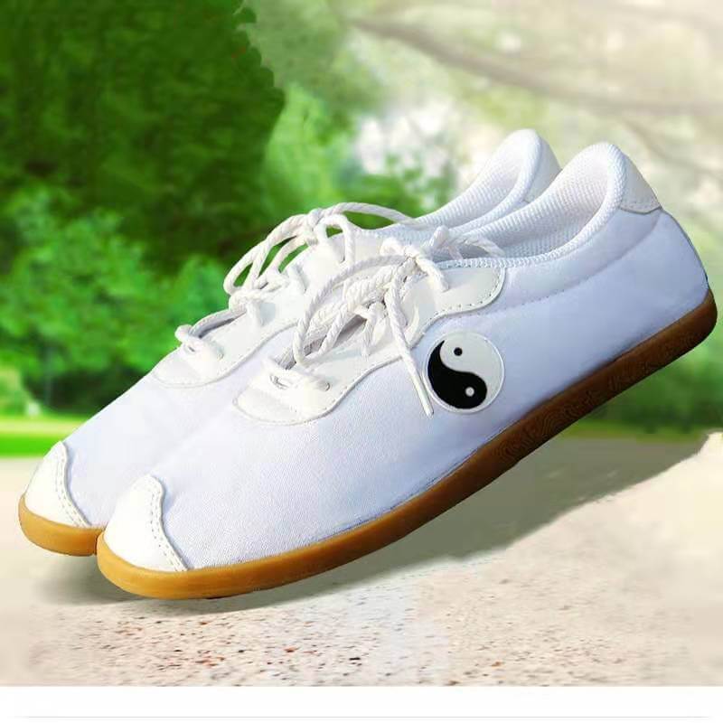 Unisex Breathable Canvas Tai Chi Shoes-Taikong Sky