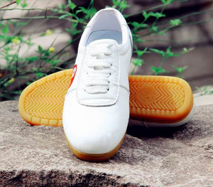 Women's Kung Fu Tai Chi Leather Shoes Breathable Anti-Slip,White - Taikong Sky